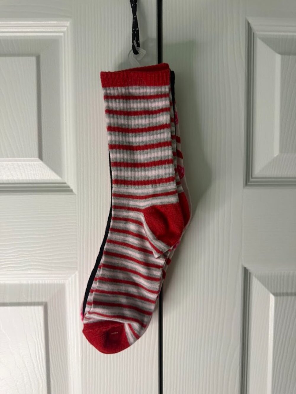 Women's Capelli Ribbed Crew Socks - Picture 4 of 5